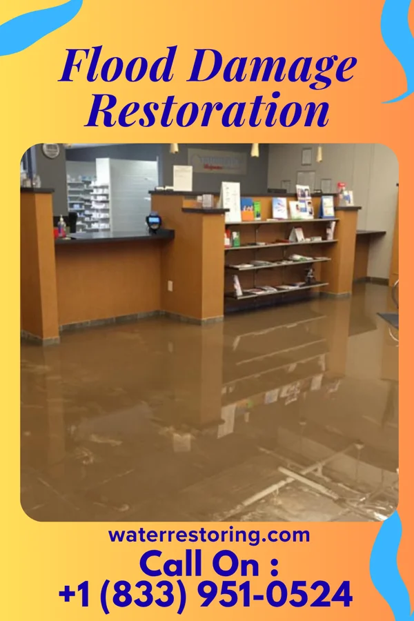 Flood Damage Restoration in North Kensington, MD