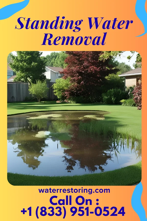 Standing Water Removal in North Kensington, MD
